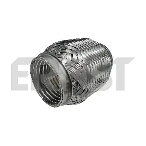 ERNST 460217