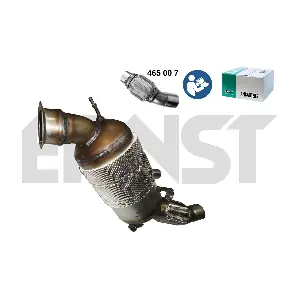 910262 ERNST