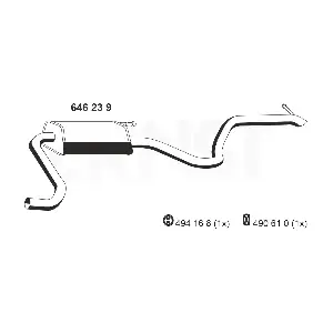 646239 ERNST