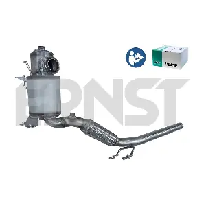910866 ERNST