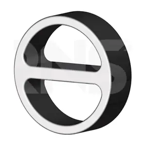 499668 ERNST