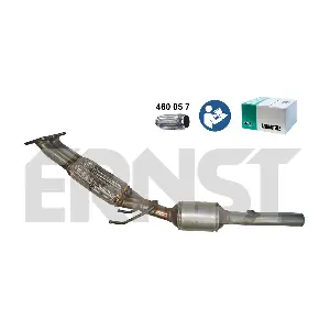 753241 ERNST