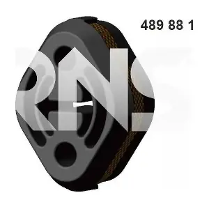 489881 ERNST