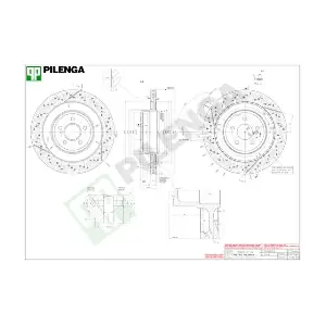 V596 PILENGA