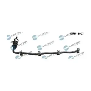 DRM18007 LIZARTE