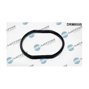 DRM0550 LIZARTE