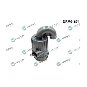 DRM01871 LIZARTE