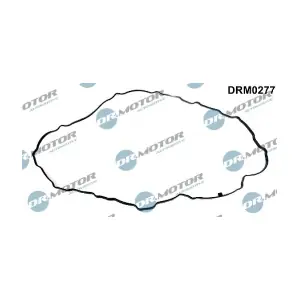 DRM0277 LIZARTE