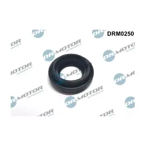 DRM0250 LIZARTE