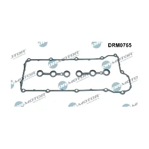 DRM0765 LIZARTE