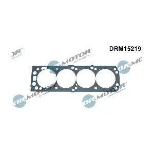 DRM15219 LIZARTE