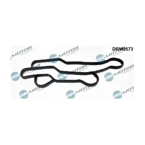 DRM0573 LIZARTE