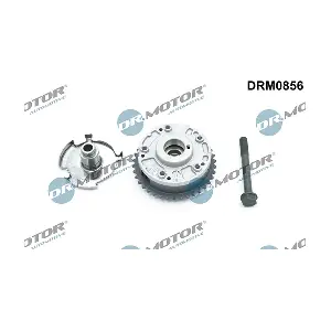DRM0856 LIZARTE