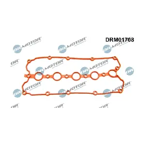 DRM01708 LIZARTE