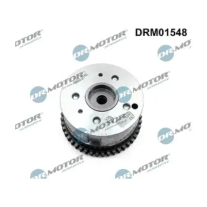 DRM01548 LIZARTE