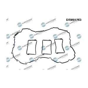 DRM01763 LIZARTE