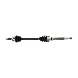 DS1279 LIZARTE