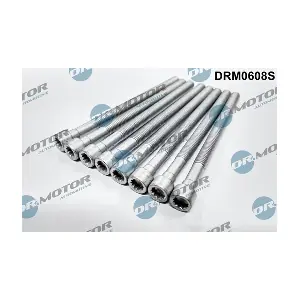 DRM0608S LIZARTE