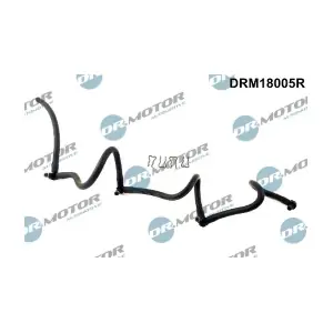 DRM18005R LIZARTE