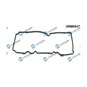 DRM0847 LIZARTE