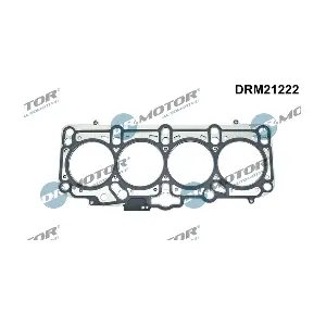DRM21222 LIZARTE