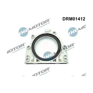 DRM01412 LIZARTE