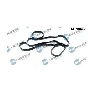 DRM0599 LIZARTE