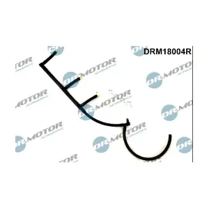 DRM18004R LIZARTE
