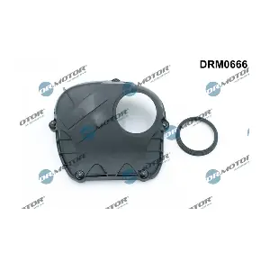 DRM0666 LIZARTE