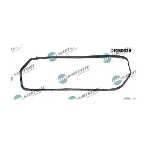 DRM0638 LIZARTE