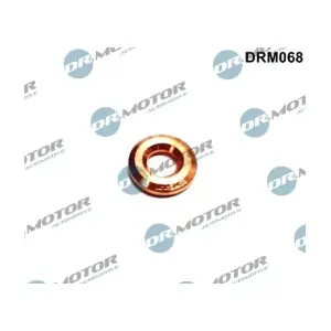 DRM068 LIZARTE
