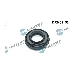 DRM01152 LIZARTE