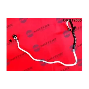 DRM12505 LIZARTE