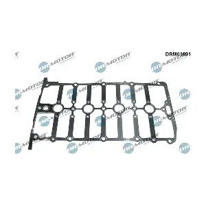 DRM01691 LIZARTE