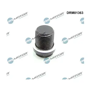 LIZARTE DRM01363