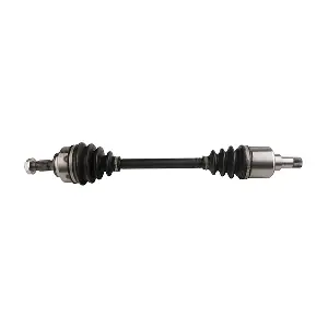 210253 LIZARTE