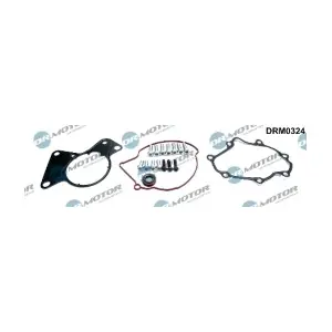 DRM0324 LIZARTE