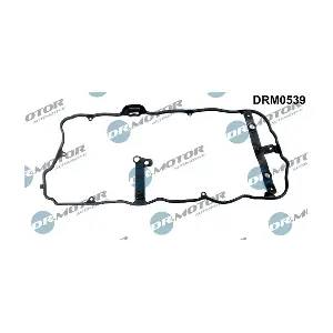 DRM0539 LIZARTE