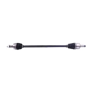 DS0507 LIZARTE