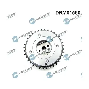 DRM01560 LIZARTE
