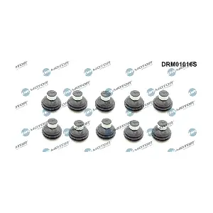 DRM01016S LIZARTE