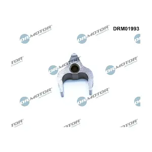 DRM01993 LIZARTE