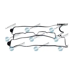 DRM0227 LIZARTE