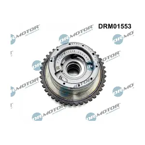 DRM01553 LIZARTE