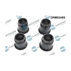 DRM0248S LIZARTE