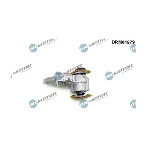 DRM01979 LIZARTE