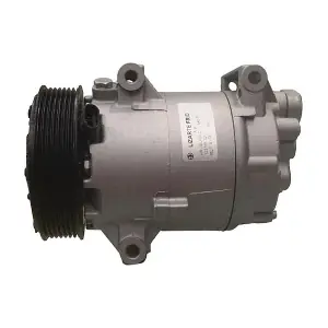 LIZARTE 810617009