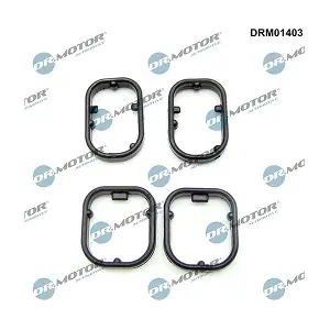 DRM01403 LIZARTE