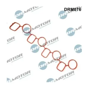 DRM076 LIZARTE