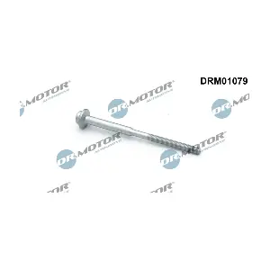 DRM01079 LIZARTE